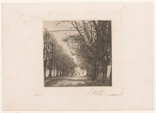 Avenue of trees leading to a building
