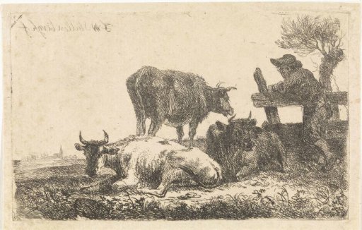 Three Cows and a Boy in a Meadow