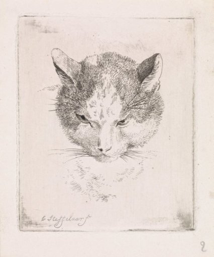 Head of a Cat
