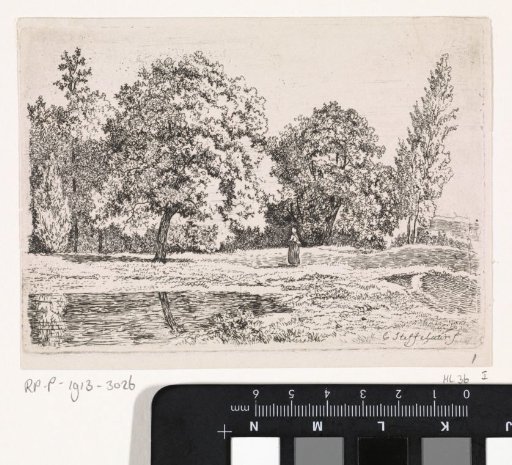 Landscape with Trees, a Lake and a Woman