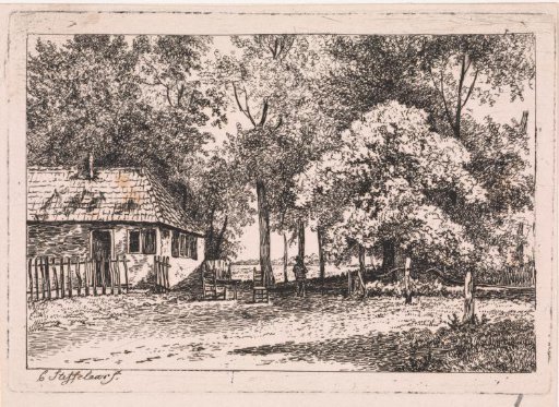 House among the Trees