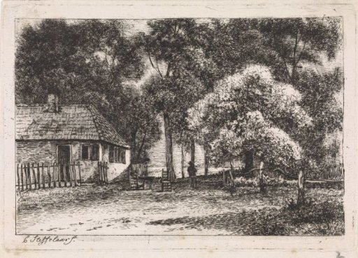House among trees
