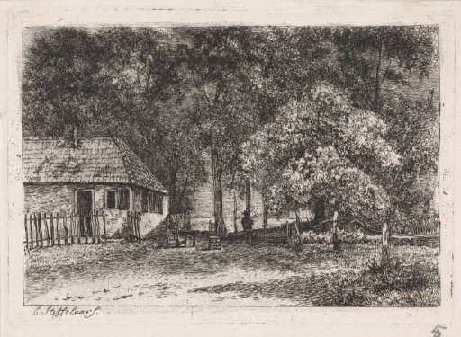 House among trees