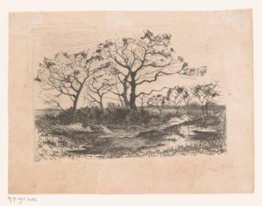 Heath Landscape with Bare Trees
