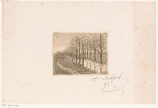 Night Landscape with Row of Trees Along a Canal