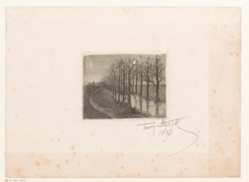 Night Landscape with Row of Trees Along a Canal