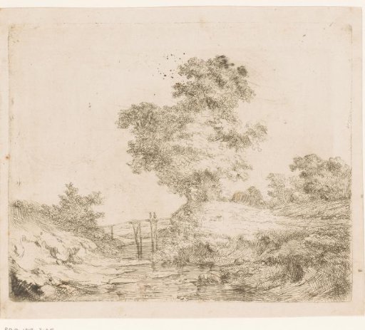 Landscape with a wooden bridge over the water