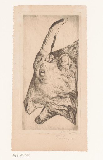 Head of a Goat