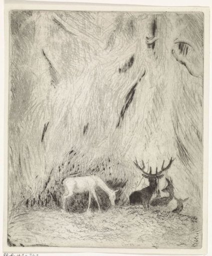 Deer in a Bohemian Forest