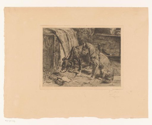 Two dogs lying in wait