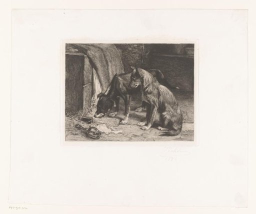 Two dogs lying in wait