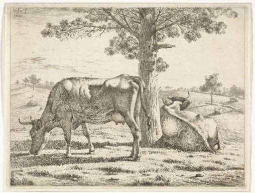 Two cows by a tree