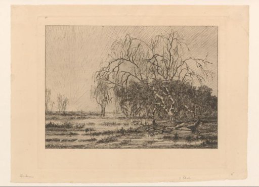 Marsh at Sunrise