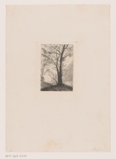 Hilly landscape with trees