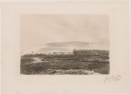 Landscape in the Kempen