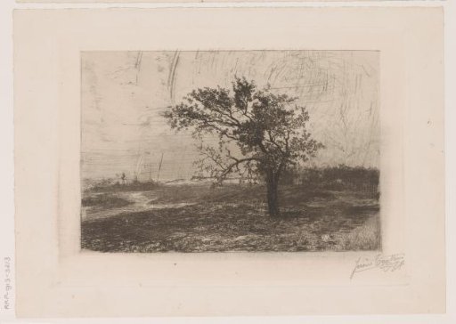 Landscape in the Kempen