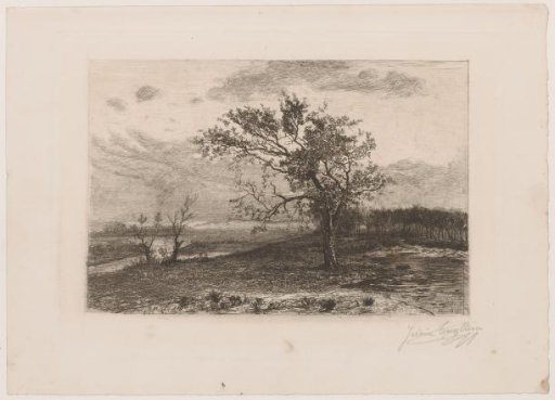 Landscape in the Kempen