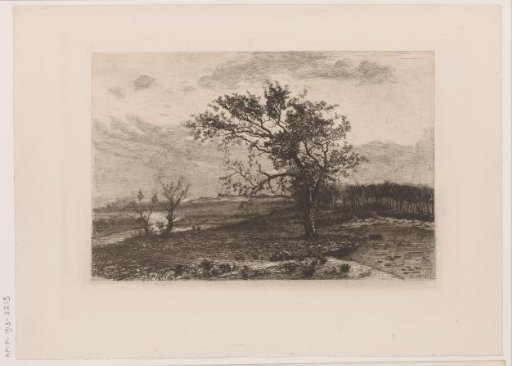 Landscape in the Kempen