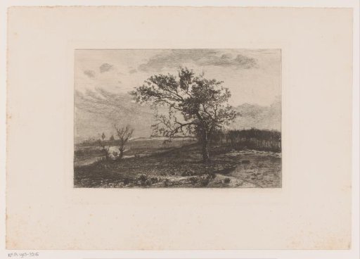 Landscape in the Kempen