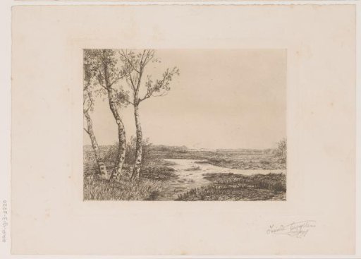 Landscape with three birches