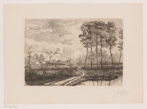 Landscape with a row of birches