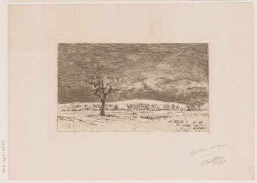 Winter landscape by moonlight