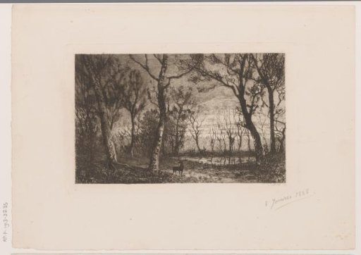 Forest landscape with a deer