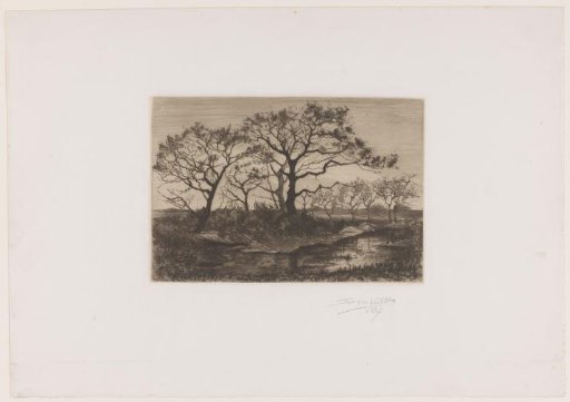Trees by a Pond