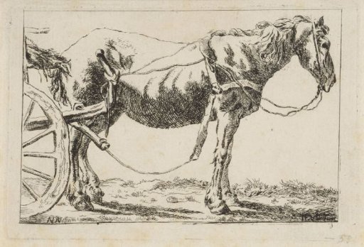Horse harnessed to a cart
