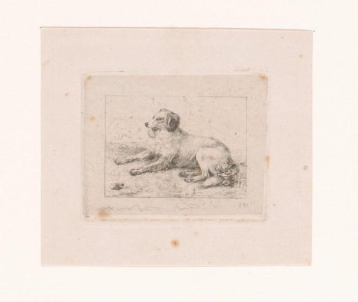Lying Spaniel