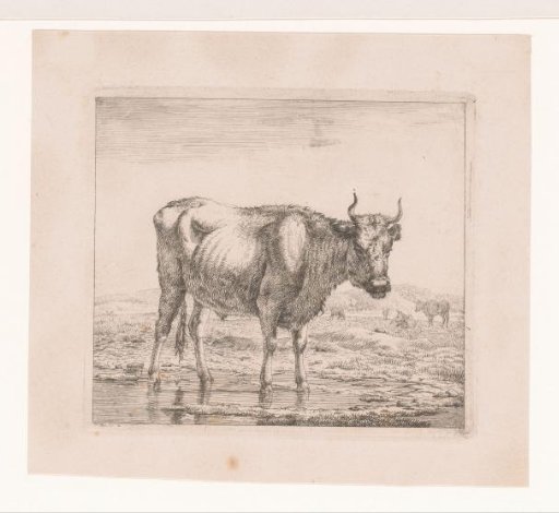 Landscape with a Bull