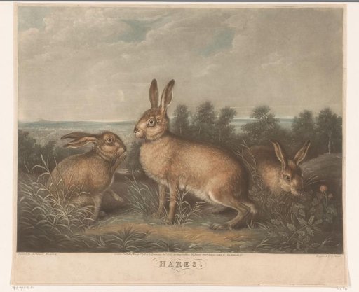 Three Hares