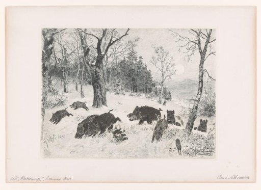 Fleeing pigs in the snow