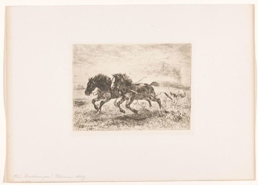 A pair of horses breaking loose