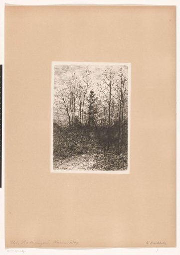 Forest View