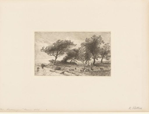 Coast with Trees and Ducks