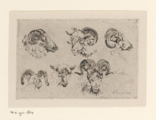 Five Ram Heads and a Sheep Head