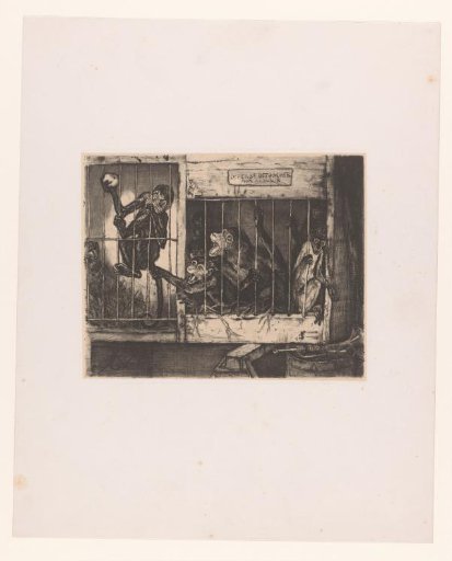 Cage with Monkeys