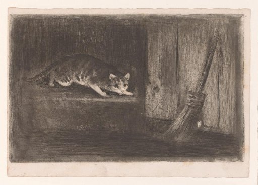 Cat and mouse