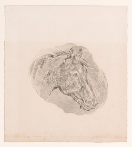 Horse's head