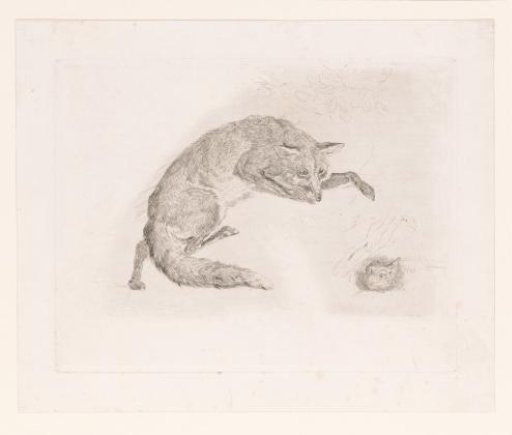 Fox Chasing a Rabbit