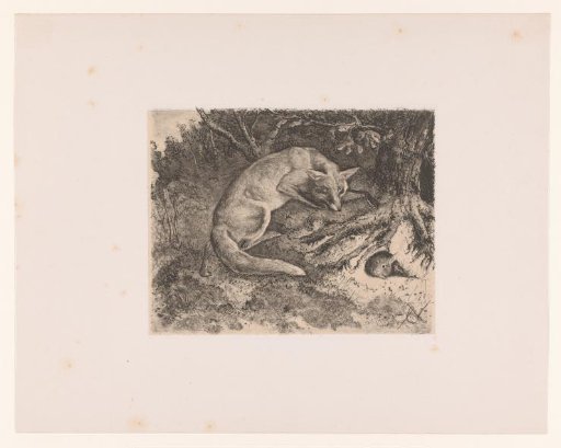 Fox Chasing a Rabbit