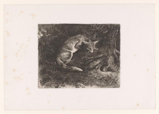 Fox Chasing a Rabbit