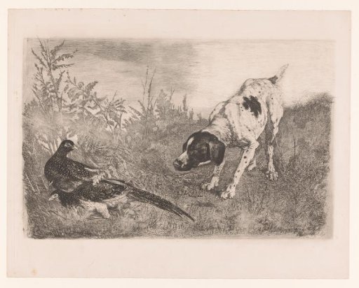 Pheasant hunting