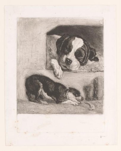 Two Dogs