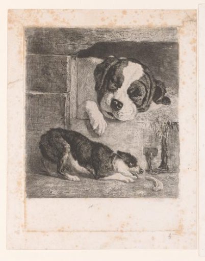 Two Dogs