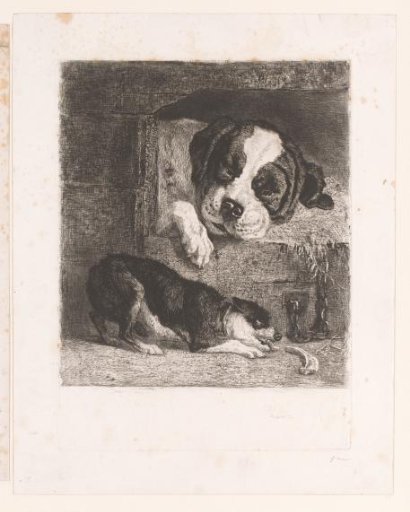 Two Dogs