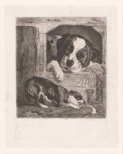 Two Dogs