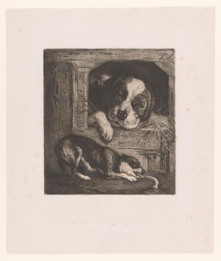 Two Dogs