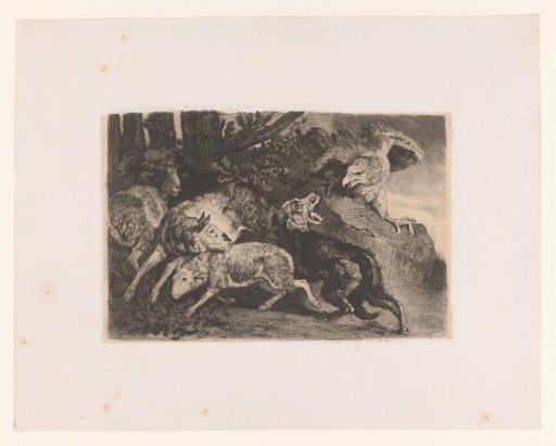 Sheep Attacked by an Eagle